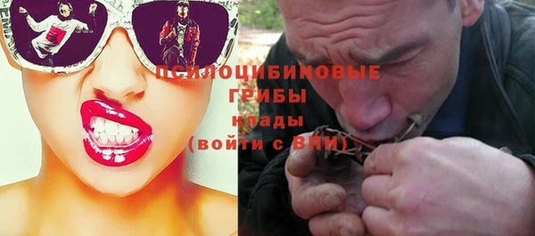 крисы Баксан