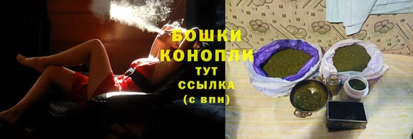 крисы Баксан