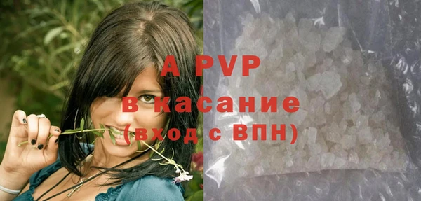 крисы Баксан
