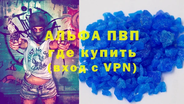 крисы Баксан